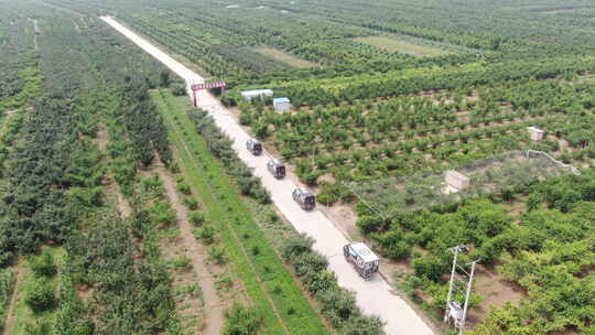 河北深州大桃航拍种植园顺丰车队