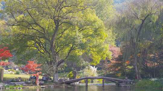 杭州西湖太子湾公园秋天风景