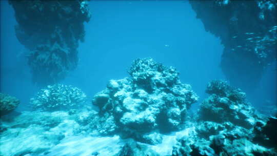海洋中珊瑚礁的水下景观