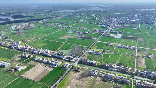 航拍城镇乡村农田民房春景小麦田地空景