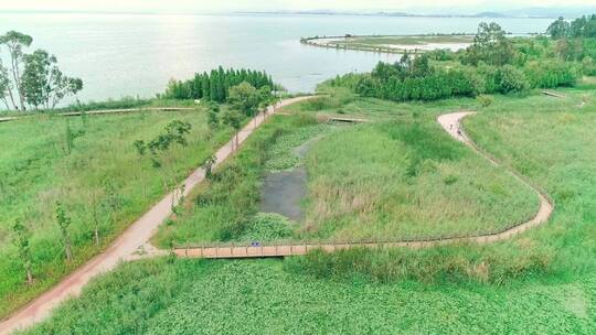 南滇池湿地公园夏景航拍