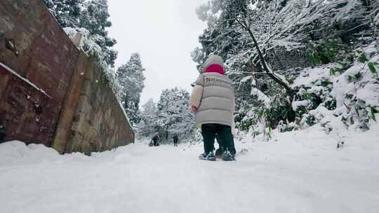 雪地亲子时光：地上拖行孩童于林间小道滑雪