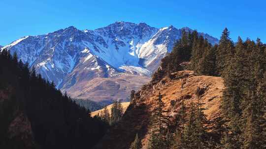 航拍祁连山森林雪山