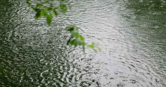 雨水雨滴落在水面溅起水花波纹