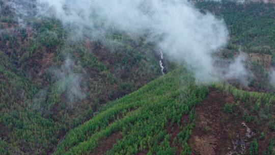 阿尔山好森沟景区航拍视频素材模板下载