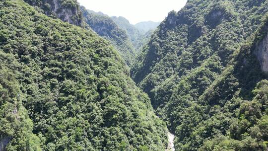 航拍大自然深山山谷湖北神农架神农谷