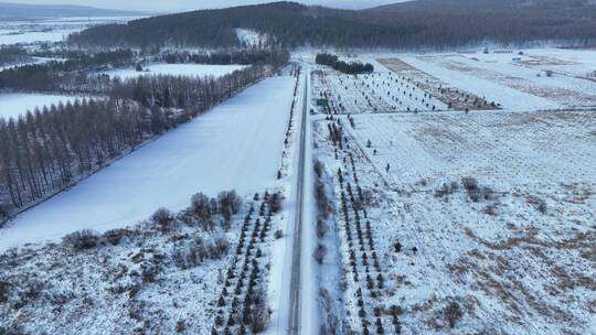 寒冷冬天行驶在冰雪道路上的汽车视频素材模板下载