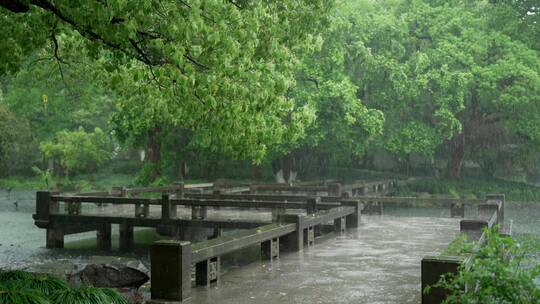 141 杭州 古建筑 下雨天 小溪 树枝  廊桥视频素材模板下载