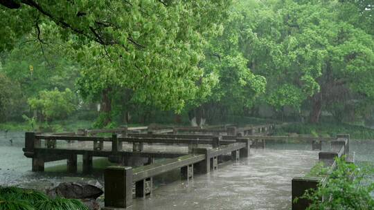 141 杭州 古建筑 下雨天 小溪 树枝  廊桥