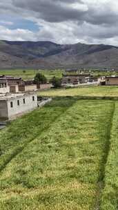 高清竖屏航拍西藏日喀则萨迦县风光合集