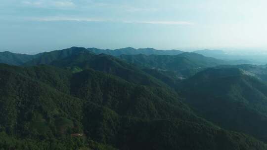 森林山川 江南西湖 杭州滨江 六和塔 钱塘江