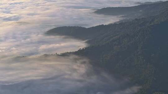 景迈山茶山云海日出