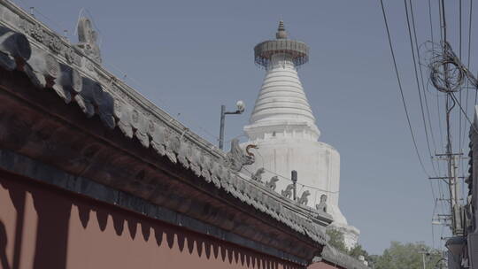 白塔寺 北京妙应寺