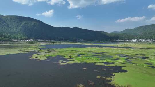 云南保山市腾冲北海湿地自然风光航拍