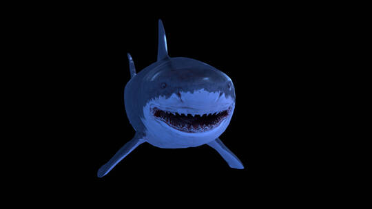影视级三维鲨鱼水底动画合成特效 (2)视频素材模板下载