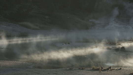 黄石国家公园的蒸水