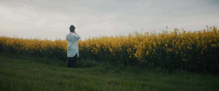 Colza Field，黄花，探索，眼镜