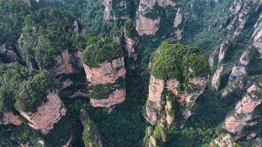 湖南张家界武陵源袁家界地质奇观