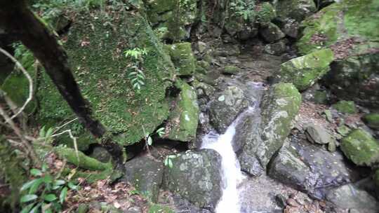 浙江温州泰顺县乌岩岭白天山涧流水视频素材模板下载