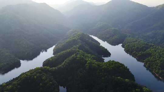 中山长江水库自然保护区