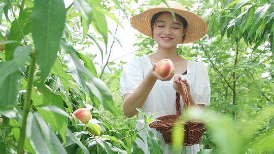 无锡阳山水蜜桃