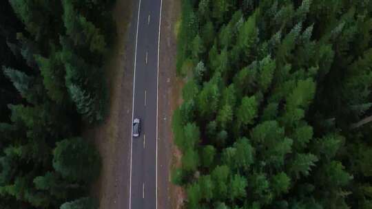 新能源电车行驶在森林公路中视频素材模板下载