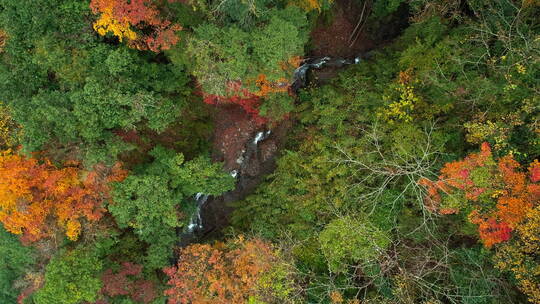 航拍秋天的彩林山间小溪瀑布