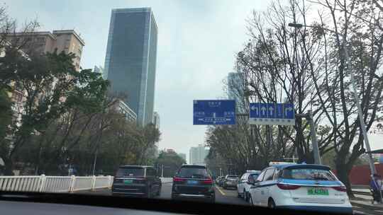 城市道路旁热带植物与车辆