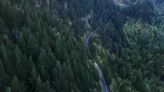 航拍汽车行驶在森林的公路