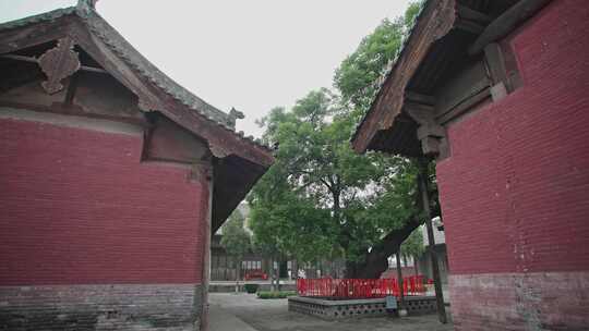 平遥双林寺寺内大院百年古槐树