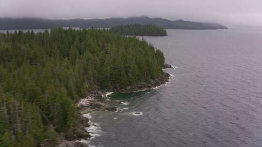 森林，海岸，丘陵，海岸