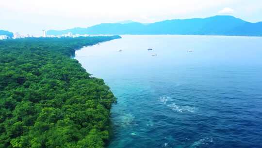 海上有船的绿色海岸边风景