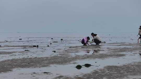 海陵岛瓦晒湾网红赶海圣地航拍