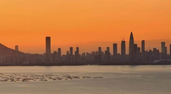 航拍shenzhen｜南山 深圳湾春笋