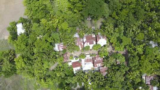 俯拍被树木环绕的房屋