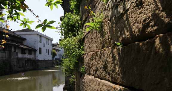 春天阳光江南水乡太仓沙溪古镇民居河道