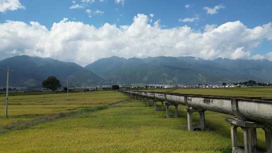 大理稻田航拍风光