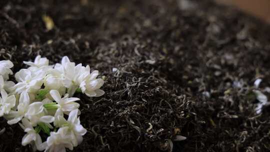 唯美茉莉花与茉莉花茶制作福州茉莉花种植园