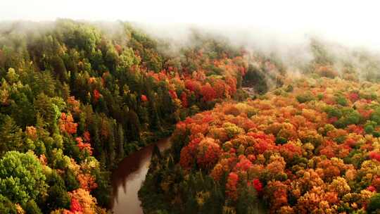 4k风景航拍秋天云雾缭绕的森林和河流