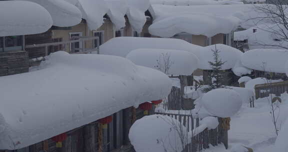 雪中乡村房屋的冬日景象