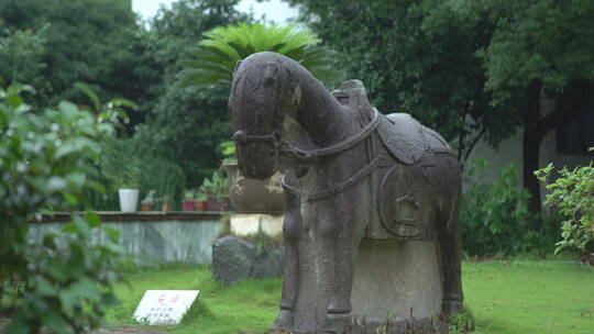 浙江义乌-雨中的马雕塑