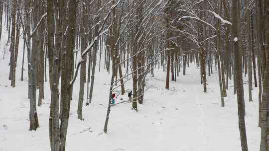 滑板和滑雪旅游概念。朋友们在山林树林里排队上山