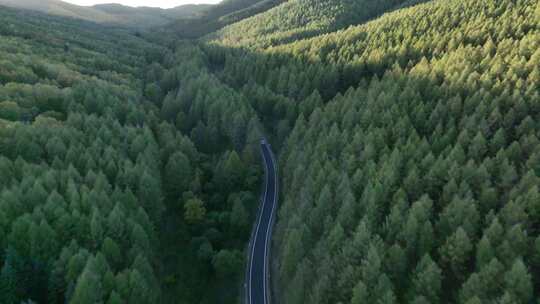 森林公路  航拍开车 航拍 山林驾驶汽车 4k视频素材模板下载