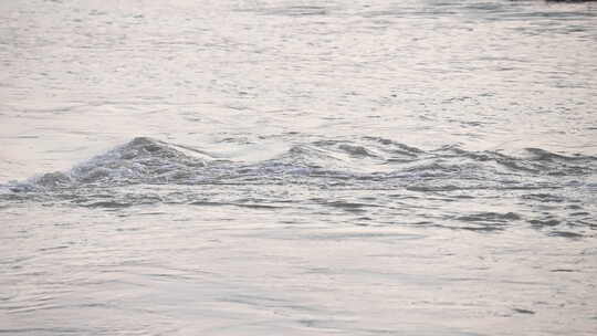 河流 流水 水面 奔流 江河 波涛 波浪翻滚