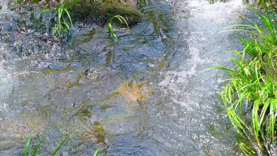 河边流水河流河水小溪山泉泉水流体液体水流