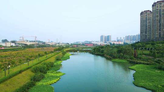 广西南宁那考河湿地公园