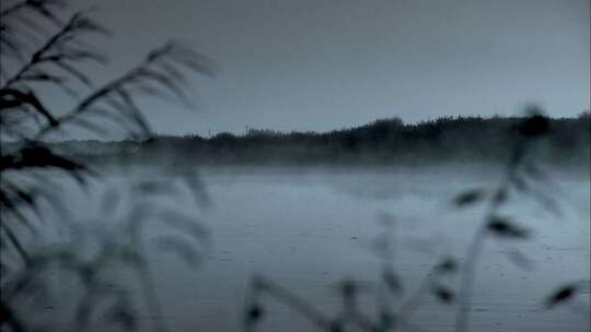 清晨湖面雾气滚滚1