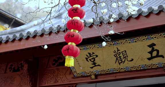（慢镜）杭州法喜寺500年白玉兰牌匾灯笼