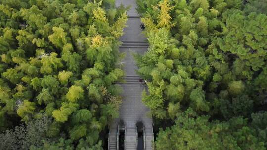 下午阳光下的常熟宝岩禅寺