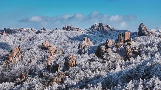 青岛崂山雪景崂山雾凇